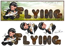 Flying Large Dl Card with Decoupage