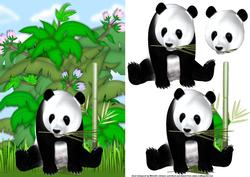 Panda Card Front with Decoupage