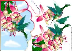 Hummingbird and Fuschia Scallope Edge Curve Card