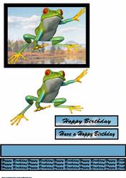 Hoppy the Frog Quick Card Front
