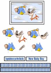Bringing the Baby Boy Step by Step