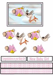Bringing the Baby Girl Step by Step
