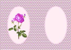 Pink Rose Insert