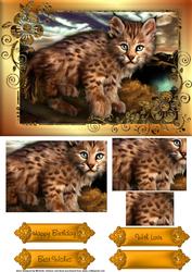 Bob Cat Card Front with Pyramage
