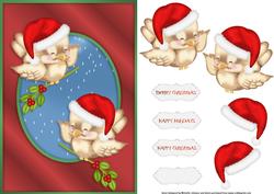 Christmas Birds and Mistletoe Card Front