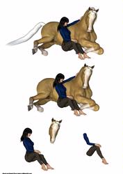 My Horse Friend Step by Step