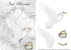 White Dove His & Hers Just Married Card Front