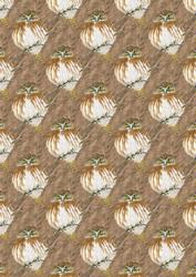 Owl Background