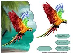 Macaw Parrot Scalloped Edge Card