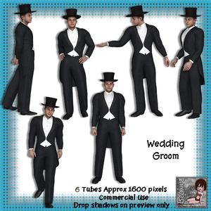 6 Wedding Groom Poser Tubes