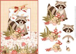 Raccoon in the Woodland Card Front