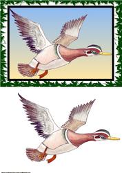 Flying Bird Quick Card Front