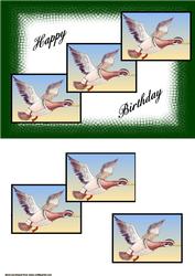 Flying Birds Card Front