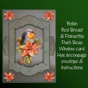 Robin Red Breast & Poinsettia Push to Beau Window Card Kit