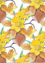 Easter Daffodil Background