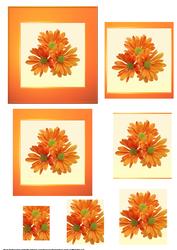 Orange Flower Pyramid