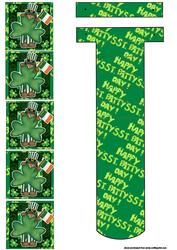 Shy Irishman St Patricks Day Waterfall