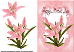 Pink Lily Mothers Day Card Front