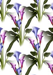 Calla Lily 1 Background