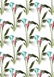 Calla Lily 2 Background