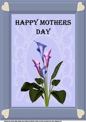 A4 Calla Lily 1 Mothers Day Card
