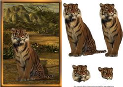 Tiger Card Front
