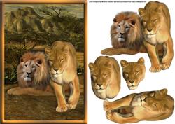 Lions Card Front