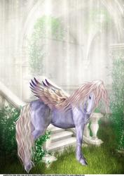A4 Pegasus Card