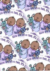 Twins 1 Background