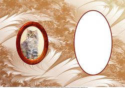 Cat Insert