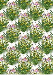 Flowers for All Occasions Background