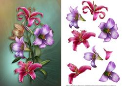 Pink and Purple Lilies Card Front
