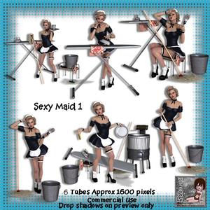 6 Sexy Maid Poser Tubes 1