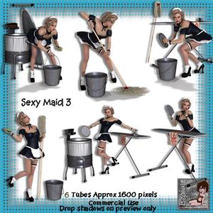 6 Sexy Maid Poser Tubes 3