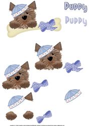 Yorkie the Puppy with a Bone Step by Step