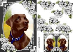 Chocolate Labrador Card Front with Gift Tag