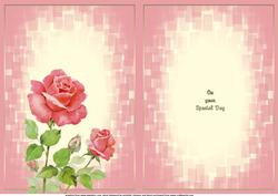 On Your Special Day Pink Rose Insert