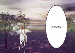 Riding My Unicorn Best Wishes Insert