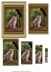 Lynx Big Cat Pyramid