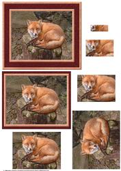 Fox Pyramid