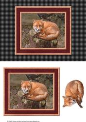 Fox Card Front with Decoupage