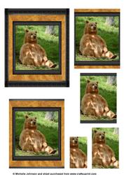 Big Brown Bear Pyramid