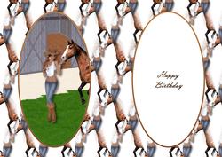 Cowgirl and Her Horse Insert