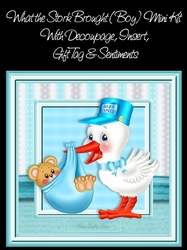 What The Stork Brought (Boy) Mini Kit
