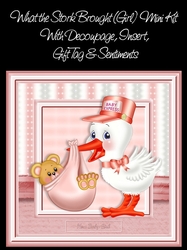 What The Stork Brought (Girl) Mini Kit