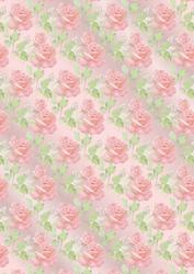 Pink Roses on Pink Vellum