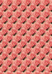 Peach Roses Background