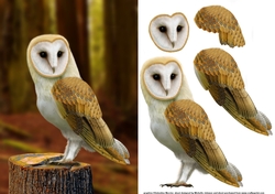 Barn Owl Card Front
