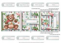 Little Bear T-step Tri Fold
