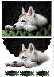 Loyal Husky Scalloped Faux Envelope Card